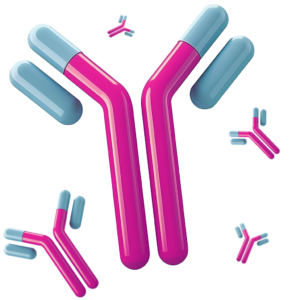 Antibody structures floating. Links to the Antibodies webpage.