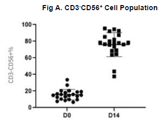 Graph depicting expansion of NK cell population after 14 day culture in medium.