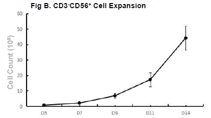 Line graph depicting the expansion of NK cells after 14 day culture in medium.