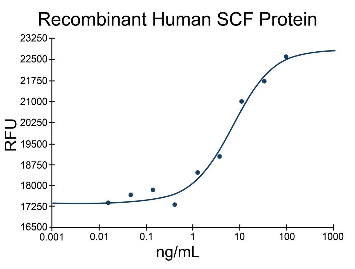 Recombinant Human SCF Protein (EXRP019)