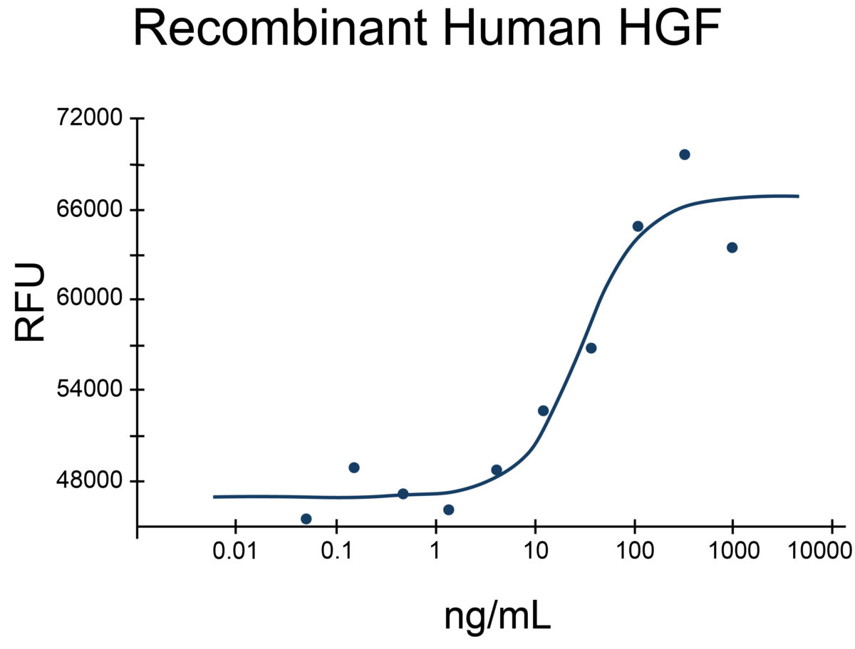 log-line graph showing cell proliferation assay using 4MBr-5 rhesus monkey cells with increasing concentrations of recombinant human HGF (EXRP013)