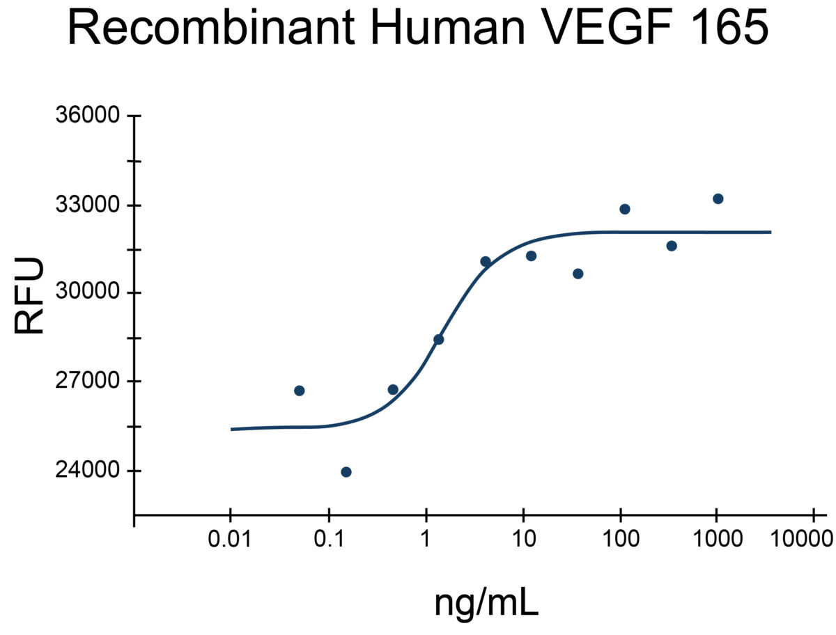 log-line graph showing cell proliferation assay using HUVEC human umbilical vein endothelial cells with increasing concentrations of recombinant human VEGF 165 (EXRP021)