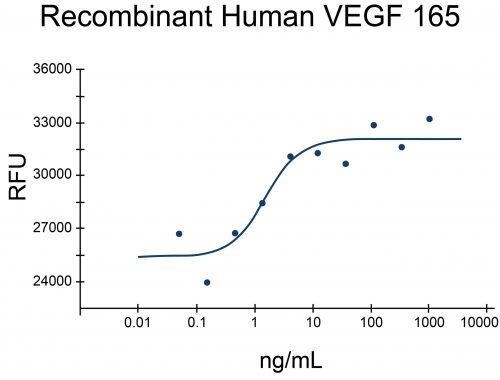 log-line graph showing cell proliferation assay using HUVEC human umbilical vein endothelial cells with increasing concentrations of recombinant human VEGF 165 (EXRP021)