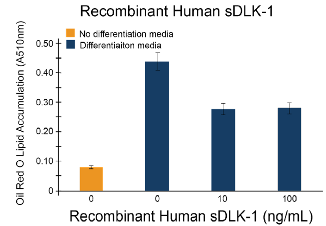 Recombinant Human Soluble DLK-1 (sDLK-1) Protein (EXRP071)